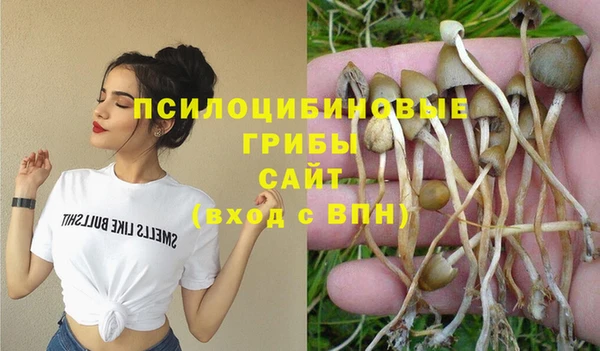 spice Горно-Алтайск